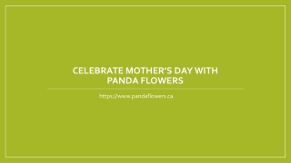 Celebrate Mother’s Day with Panda Flowers