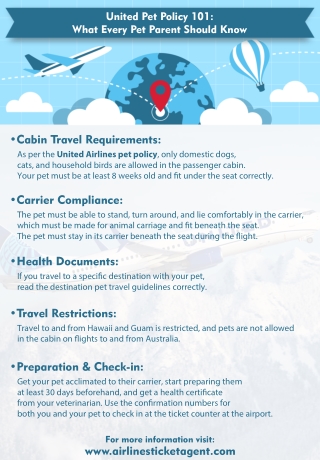 United Pet Policy 101: What Every Pet Parent Should Know
