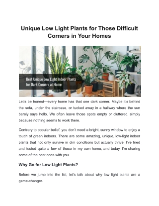Unique Low Light Plants for Those Difficult Corners in Your Homes
