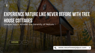 Best Tree House Resort Near Jaipur | Stay Amidst Nature