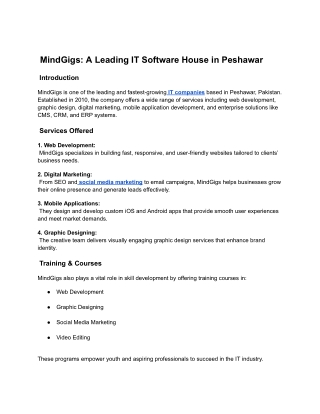 mindgigs a leading it software house in peshawar