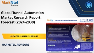 Global Tunnel Automation Market Research Report: Forecast (2024-2030)