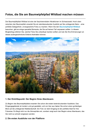 Fotos, die Sie am Baumwipfelpfad Wildbad machen müssen