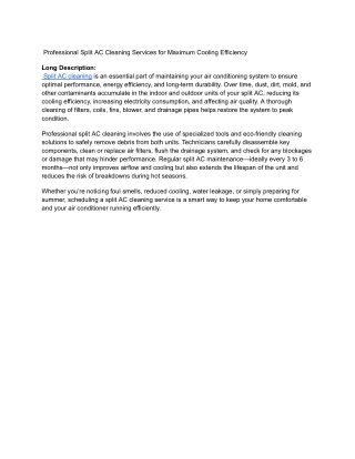 professional split ac cleaning services