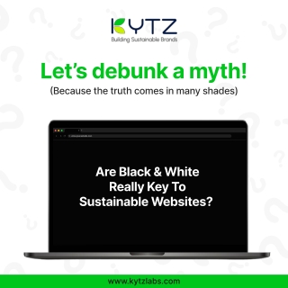 Are Black & White Really Key to Sustainable Websites