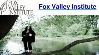 fox valley institute