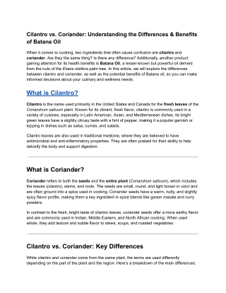 cilantro vs coriander understanding