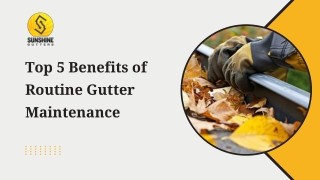 Top 5 Benefits of Routine Gutter Maintenance