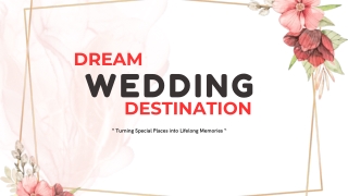 dream