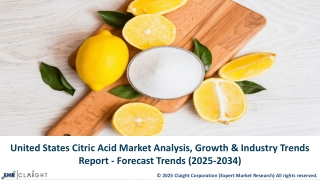 United States Citric Acid Market Size, Share, Trends & Growth 2034