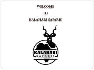 Safari club international chapters