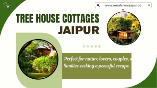Discover the Magic of a Nature Stay at a Tree House Resort