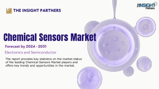 the insight partners