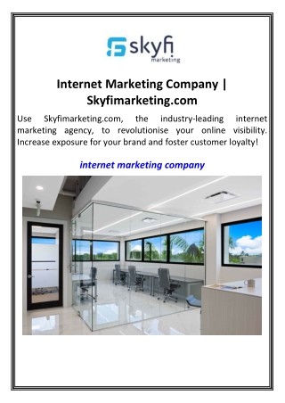 Internet Marketing Company  Skyfimarketing