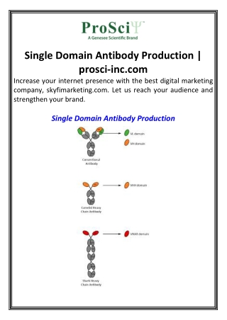 Single Domain Antibody Production  prosci-inc.com