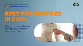 www dubaibusinessservices com