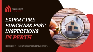 Expert Pre Purchase Pest Inspections in Perth