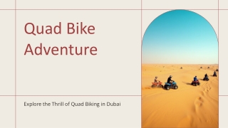 Quad Bike Adventure