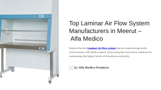 Top-Laminar-Air-Flow-System-Manufacturers-in-Meerut-Alfa-Medico.pptx