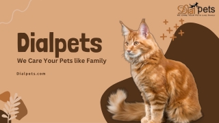 dialpets