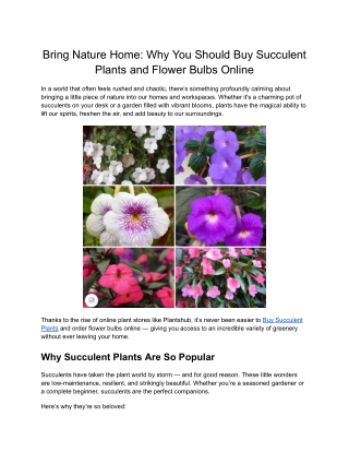 Climber Plants – Add Vertical Greenery to Your Garden or Home