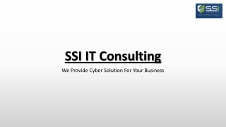 ssi it consulting