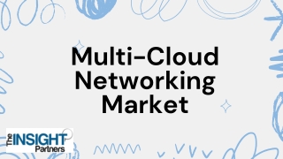 multi cloud networking market