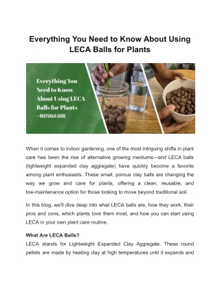 Everything You Need to Know About Using LECA Balls for Plants