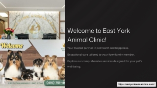 Trusted Animal Hospital Toronto | Emergency Care | Surgery | Dental Preventive