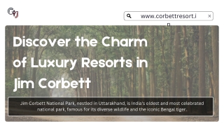Best Resorts in Jim Corbett for Family Stays, Safaris & Nature Escapes