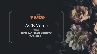 ACE Verde : The Strategic Address on the High-Growth Yamuna Expressway