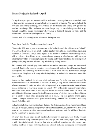 Volunteer's article_Teams Project in Iceland