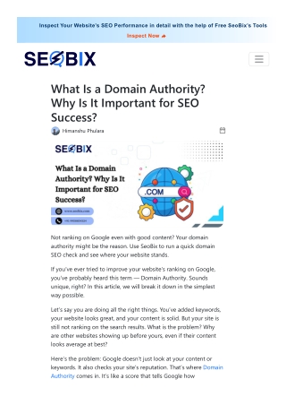 Why Domain Authority Matters & How to Improve It