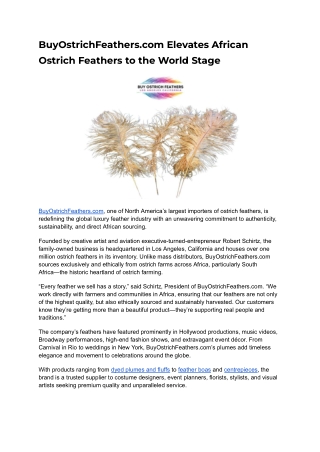 BuyOstrichFeathers.com Elevates African Ostrich Feathers to the World Stage