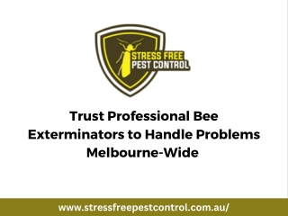 Trust Professional Bee Exterminators to Handle Problems Melbourne-Wide