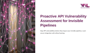 proactive api vulnerability assessment