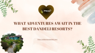 Unwind in Nature’s Lap at Dandeli Resorts
