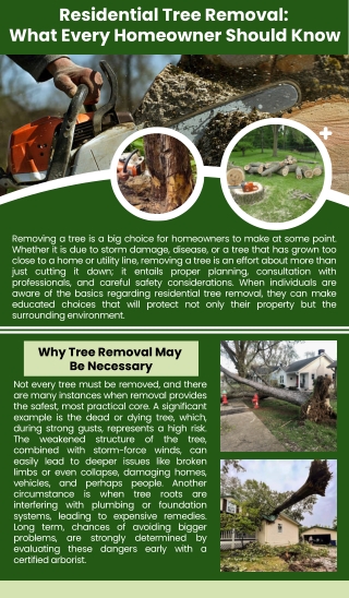 residential tree removal what every homeowner