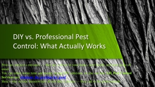 diy vs professional pest control what actually works
