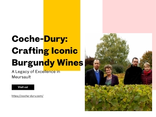 Coche-Dury Crafting Iconic Burgundy Wines