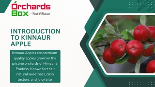 introduction to kinnaur apple