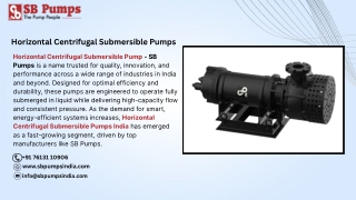 Horizontal Centrifugal Submersible Pumps
