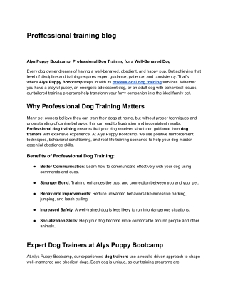 Alys Puppy Bootcamp: Professional Dog Training for a Well-Behaved Dog