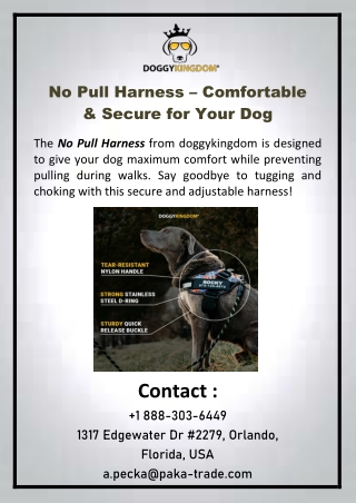 no pull harness comfortable secure for your dog