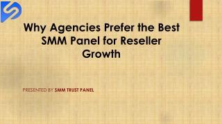 Why Agencies Prefer the Best SMM Panel for