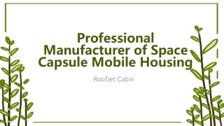 professional manufacturer of space capsule mobile