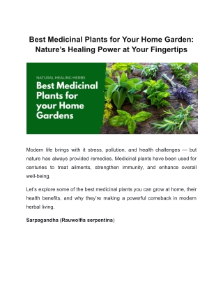 Best Medicinal Plants for Your Home Garden: Nature’s Healing Power