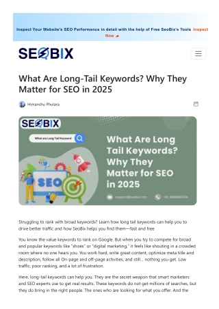 Unlocking SEO Success in 2025: The Power of Long-Tail Keywords