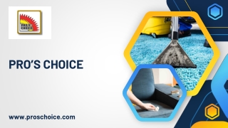 pro s choice
