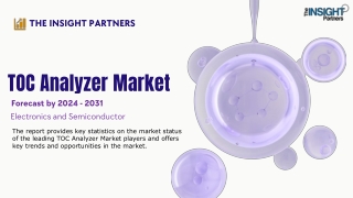 the insight partners